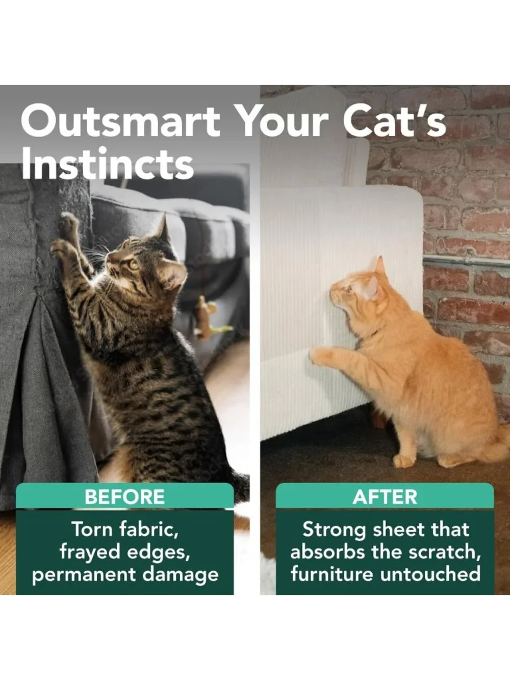 Cat Couch Scratch Protector Sheets - Adhesive Shields & Safeguard for Furniture